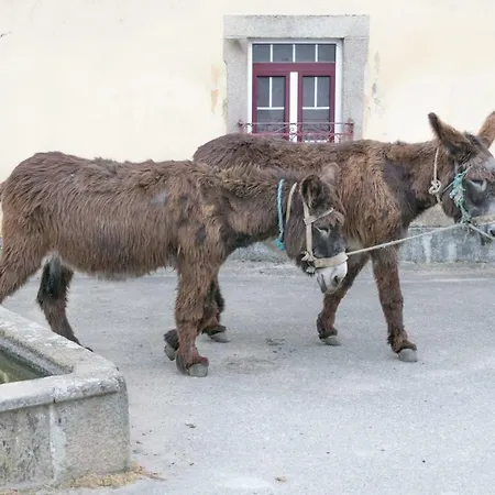 Gospodarstwo agroturystyczne Casa De Belharino *