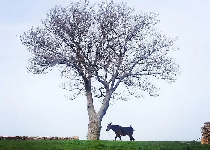 Casa De Belharino Gospodarstwo agroturystyczne Miranda do Douro
