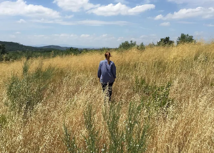 Gospodarstwo agroturystyczne Casa De Belharino