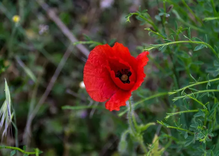Gospodarstwo agroturystyczne Casa De Belharino