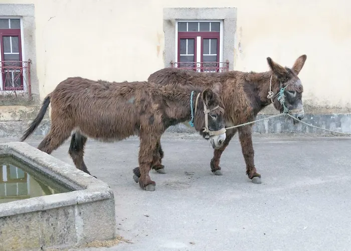 Gospodarstwo agroturystyczne Casa De Belharino *