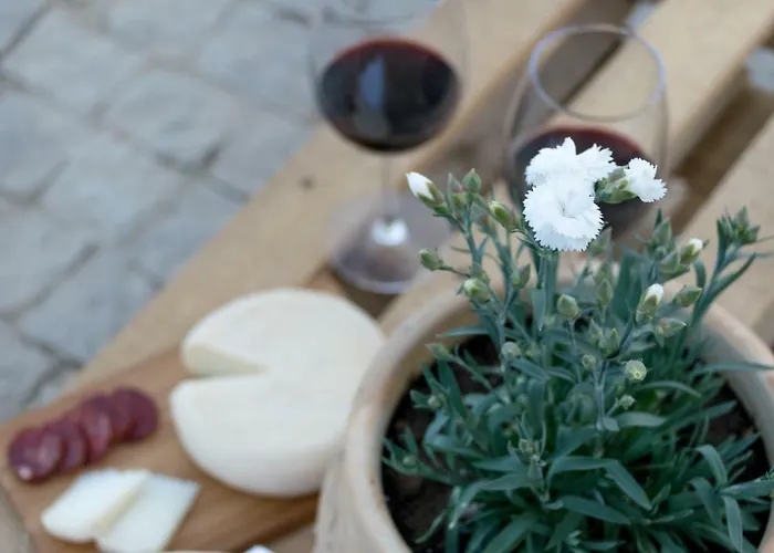 Gospodarstwo agroturystyczne Casa De Belharino Miranda do Douro